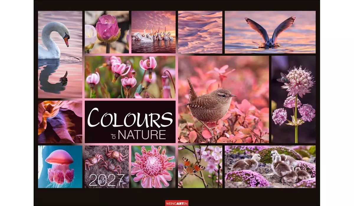 Weingarten Colours of Nature Kalender 2027