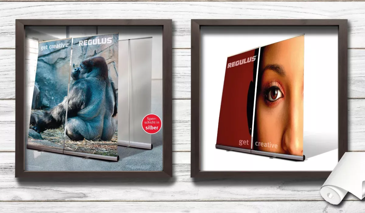 Roll Up Display polyester film