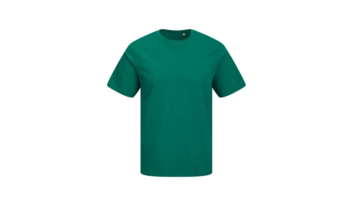 JACK & JONES - Canvas Tee BLK7526 - ALPINE GREEN