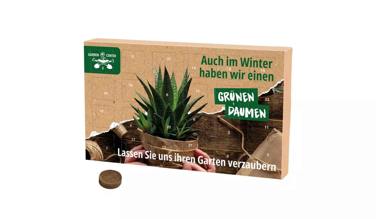 Wachsender Adventskalender ECO L