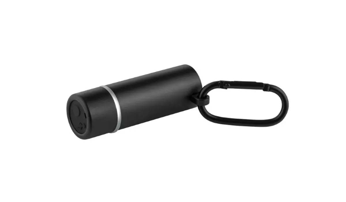 Arbeitslampe WorkLight2Go