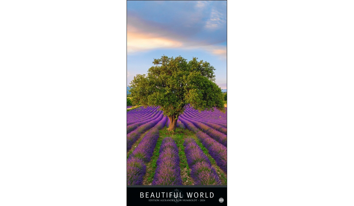 Beautiful World Vertical 2024 | picture calendar with logo printed ...